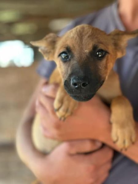 Jette - die fröhliche Maus 🐾