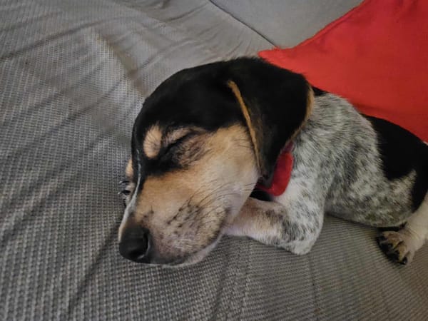 Tiago aux mille sourires