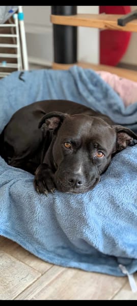 Paty, une créole en Normandie