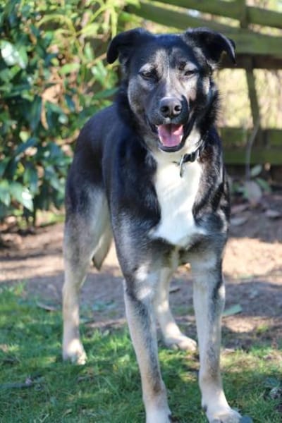 Mai - Marienkäferchen