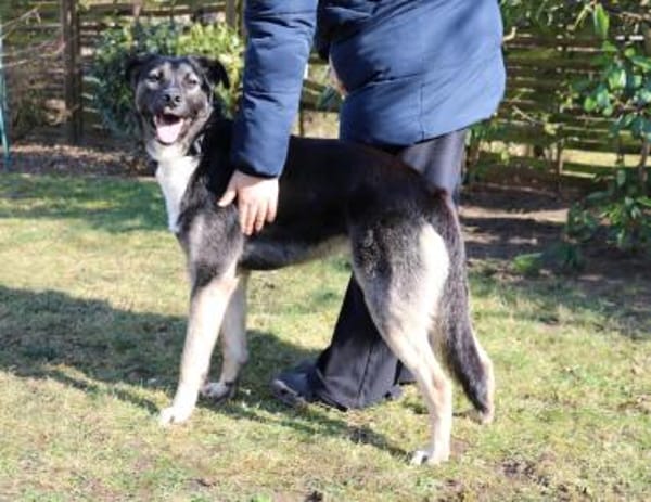 Mai - Marienkäferchen