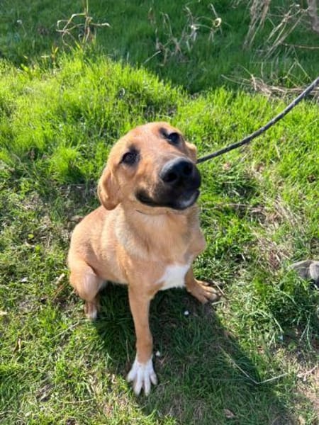 Sascha sucht seine Familie