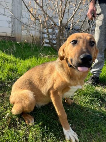 Sascha sucht seine Familie