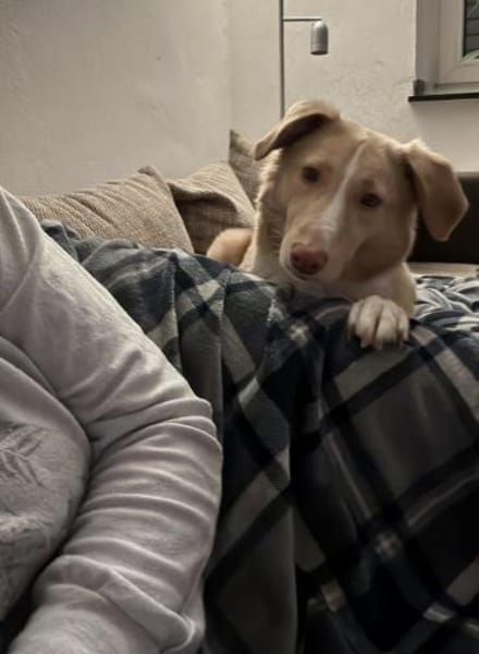 Sensibler CREAM sucht ♥ 🆘‼🆘