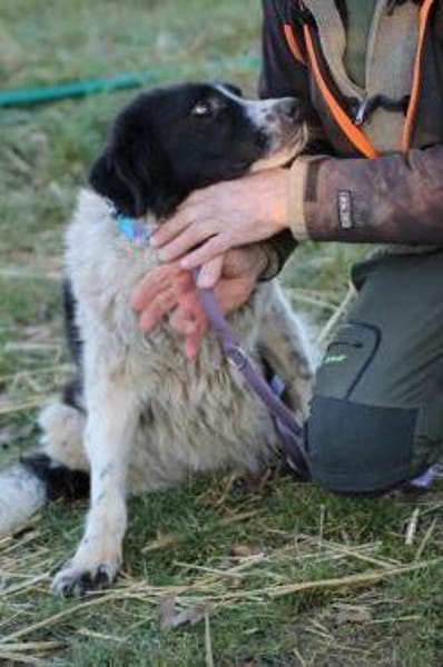 Marina - zutraulich u. kinderlieb