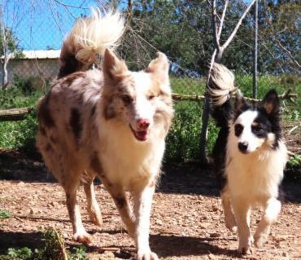 Baku - fröhlich und aufgeschlossen