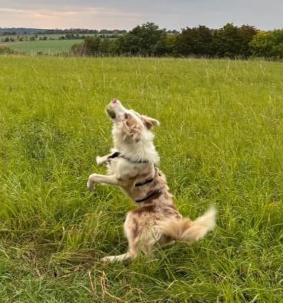 Baku - fröhlich und aufgeschlossen