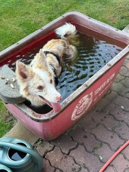 Baku - fröhlich und aufgeschlossen