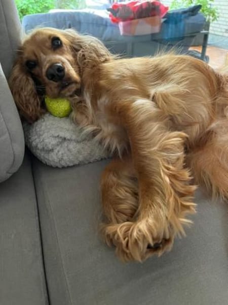 OTTO benötigt Sicherheit 🆘🆘🆘