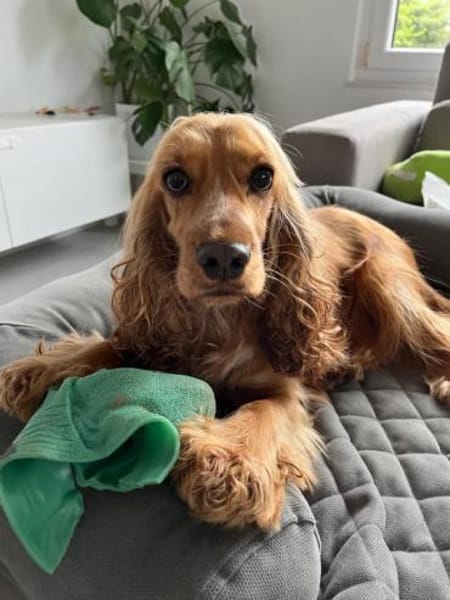 OTTO benötigt Sicherheit 🆘🆘🆘