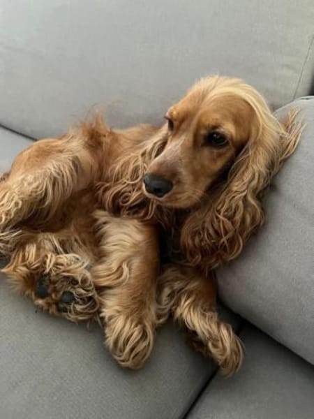 OTTO benötigt Sicherheit 🆘🆘🆘