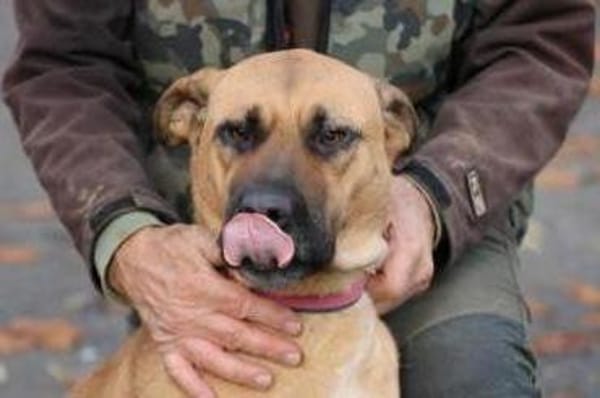 Leela - kinderlieb u. verspielt