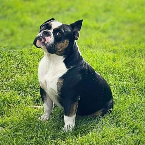 Olaf - ist freundlich&offen