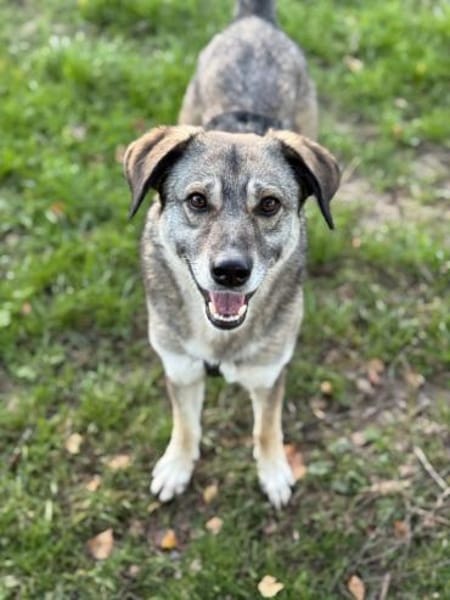 Filia freut sich sehr über Snacks