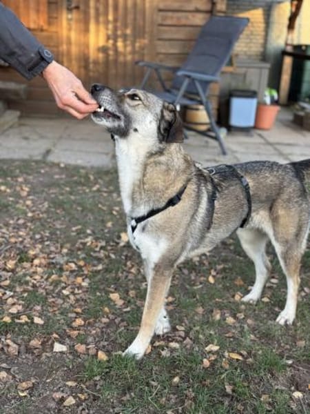 Filia freut sich sehr über Snacks