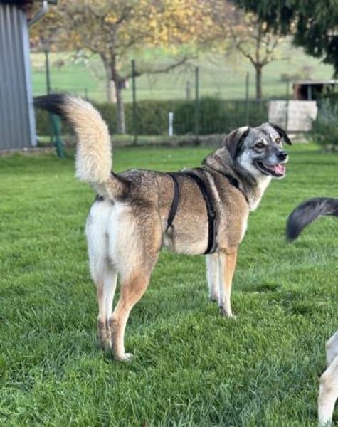 Filia freut sich sehr über Snacks