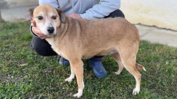 Zauberhafter Sonnenschein  Molly