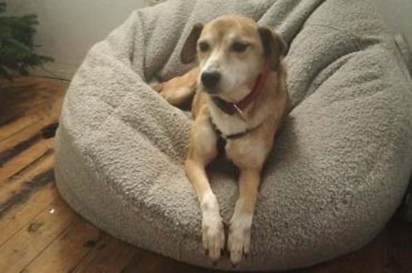 Zauberhafter Sonnenschein  Molly