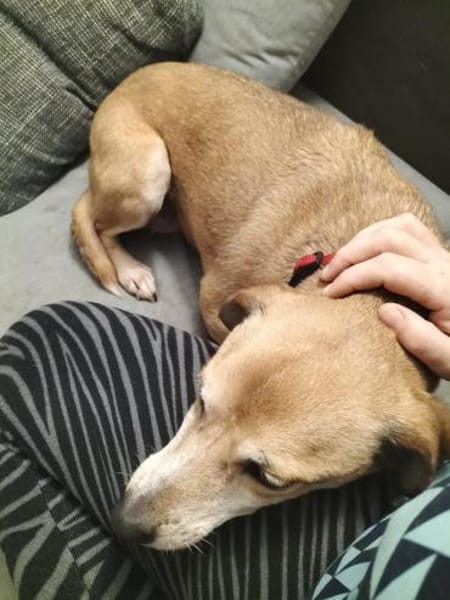 Zauberhafter Sonnenschein  Molly