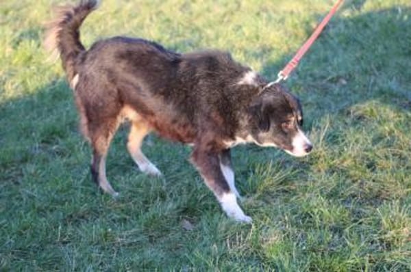 Tayto - zutraulich u. unkompliziert