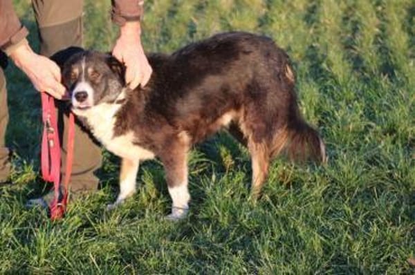 Tayto - zutraulich u. unkompliziert