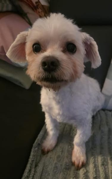 MARCO LIEBT KINDER UND KUSCHELN