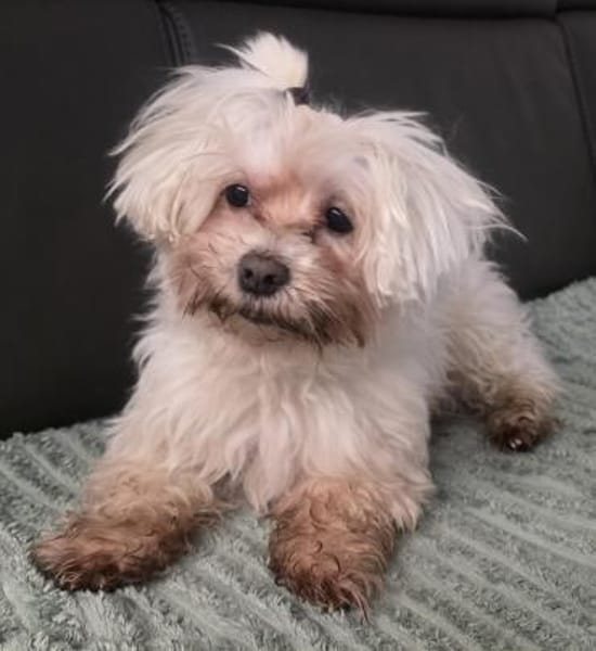 MARCO LIEBT KINDER UND KUSCHELN