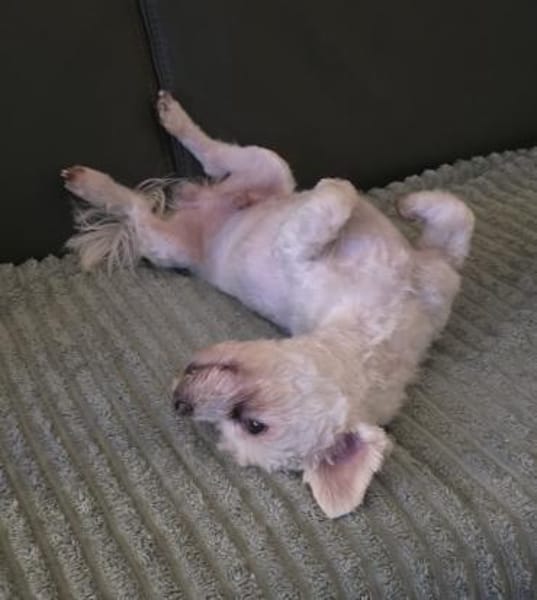 MARCO LIEBT KINDER UND KUSCHELN