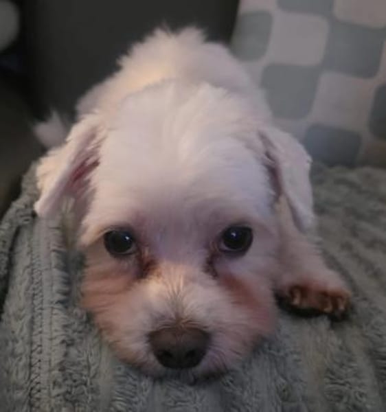 MARCO LIEBT KINDER UND KUSCHELN