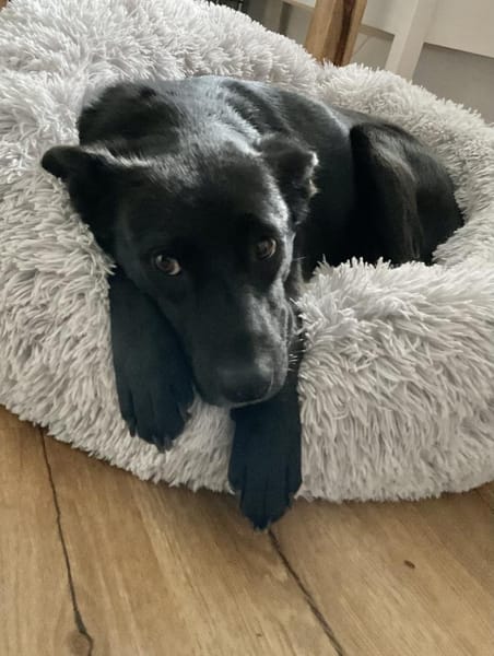 Vany 47 cm ca 5 Jahre