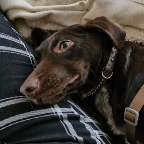 ruhige aufgeschlossene Sara ❤