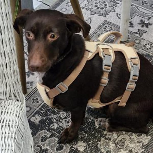 ruhige aufgeschlossene Sara ❤