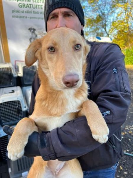 Honey - der Name ist Programm