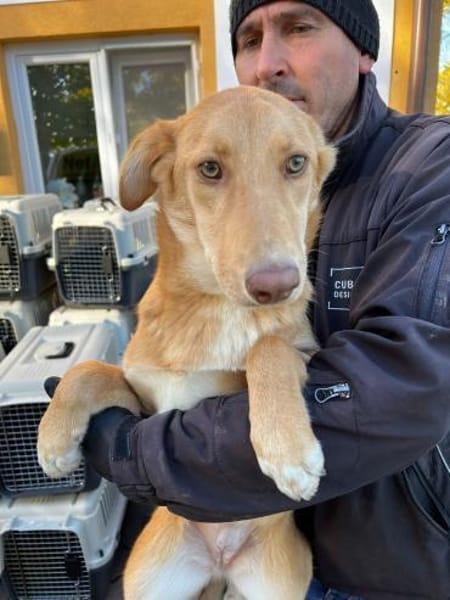 Honey - der Name ist Programm