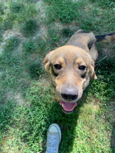 Floh Max            ab 24.11. in Berlin