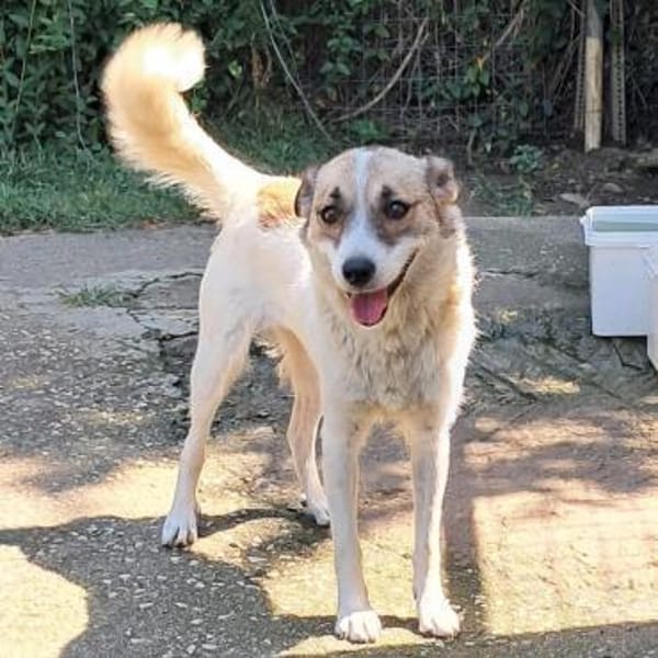 Eri - eine liebenswerte Kuschelmaus