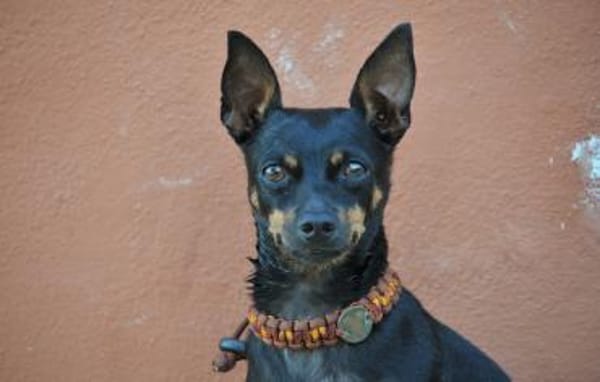 Quiqui braucht dich ❤