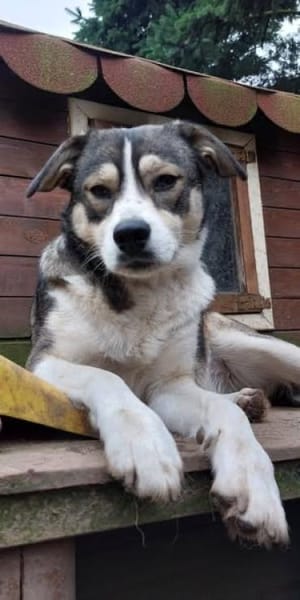 Yonka - benötigt Vertrauensperson