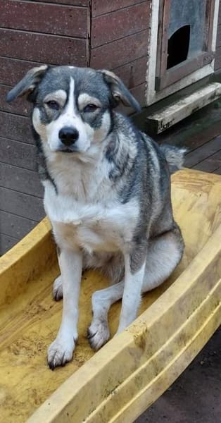 Yonka - benötigt Vertrauensperson