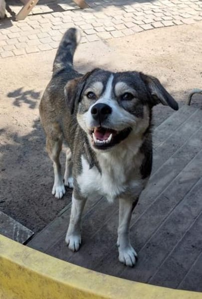 Yonka - benötigt Vertrauensperson