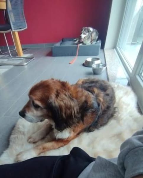 Yonka - benötigt Vertrauensperson