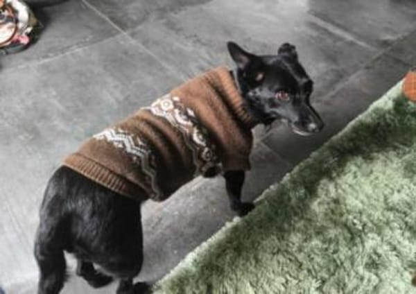 Zora in 90530 Wendelstein