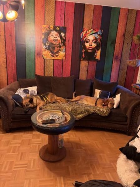 Süße Bailey sucht ein Zuhause