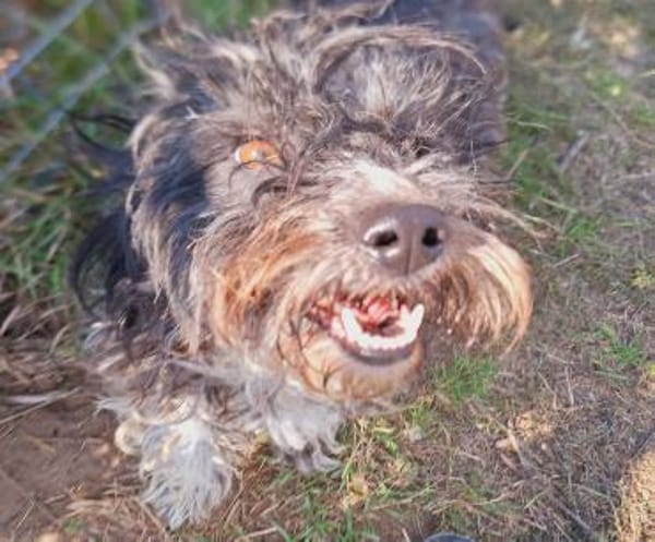 Liebe Suri wartet auf DICH 💞 (E)