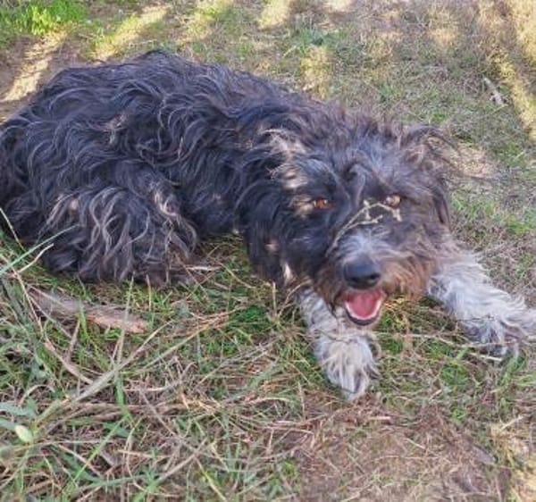 Liebe Suri wartet auf DICH 💞 (E)