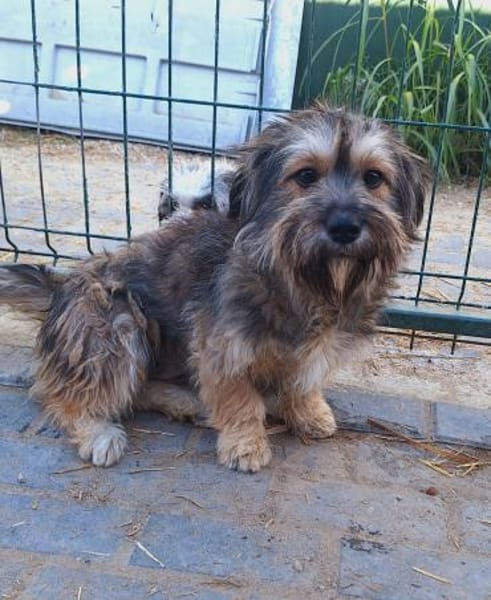 Liebe Suri wartet auf DICH 💞 (E)