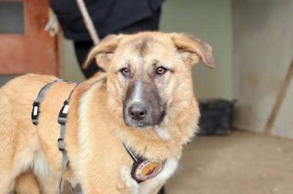 Fiona ist bereit für ein Leben mit dir