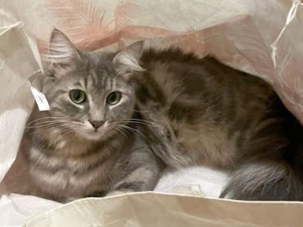 Bea freut sich auf ihr neues Zuhause