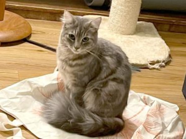 Bea freut sich auf ihr neues Zuhause