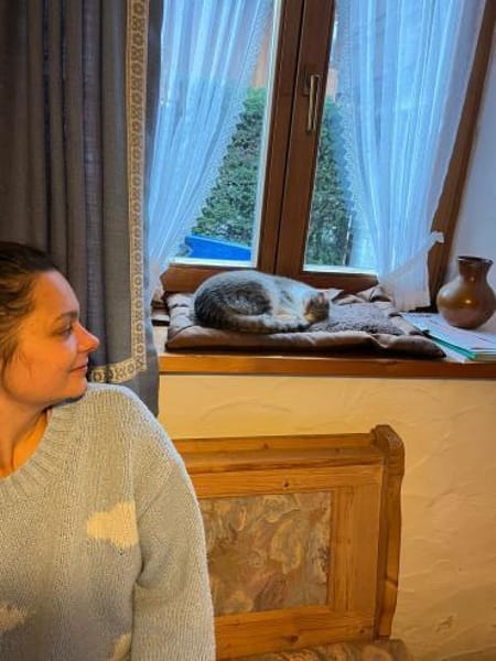 Zuhause gesucht für Mogli